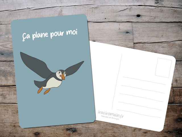 Carte postale " Ça plane pour moi "