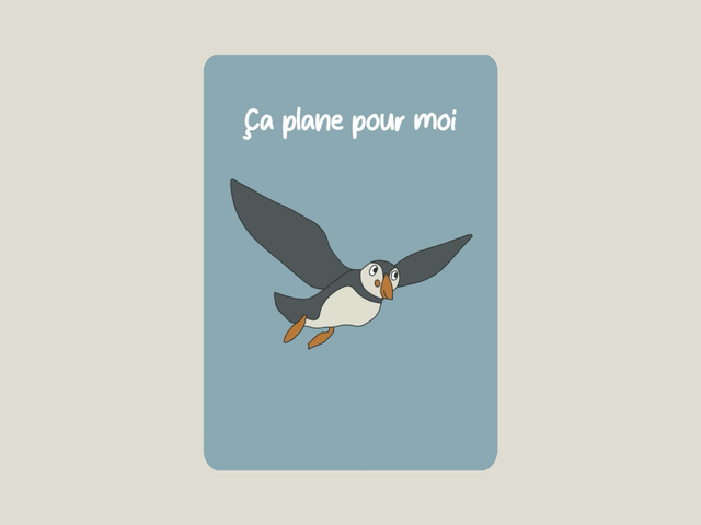 Carte postale " Ça plane pour moi "